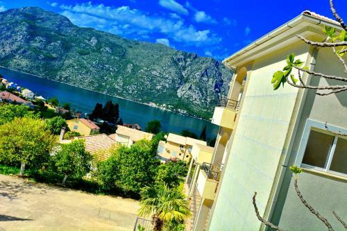 Apartments Soso