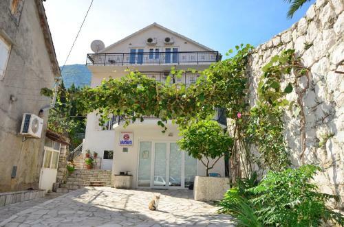Apartments Djurovic