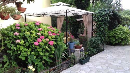 Apartments Matkovic