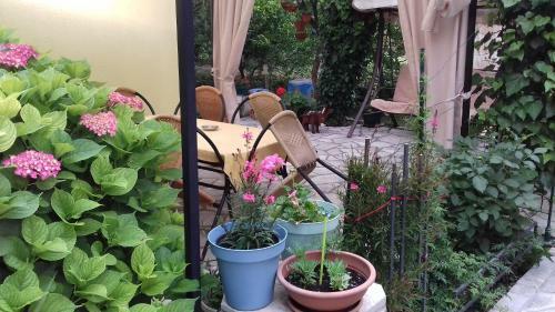 Apartments Matkovic