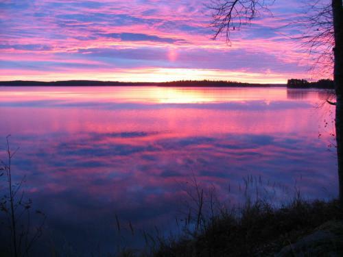 Hotel Honkiniemi