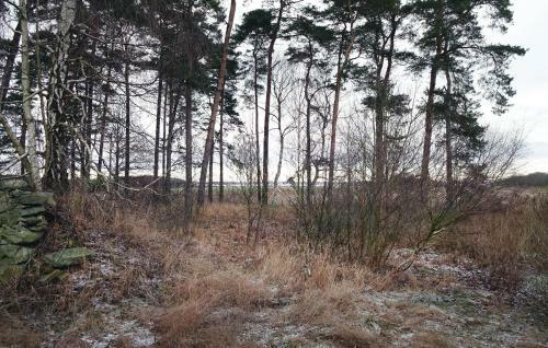 Holiday Home Furumov�g S�lvesborg