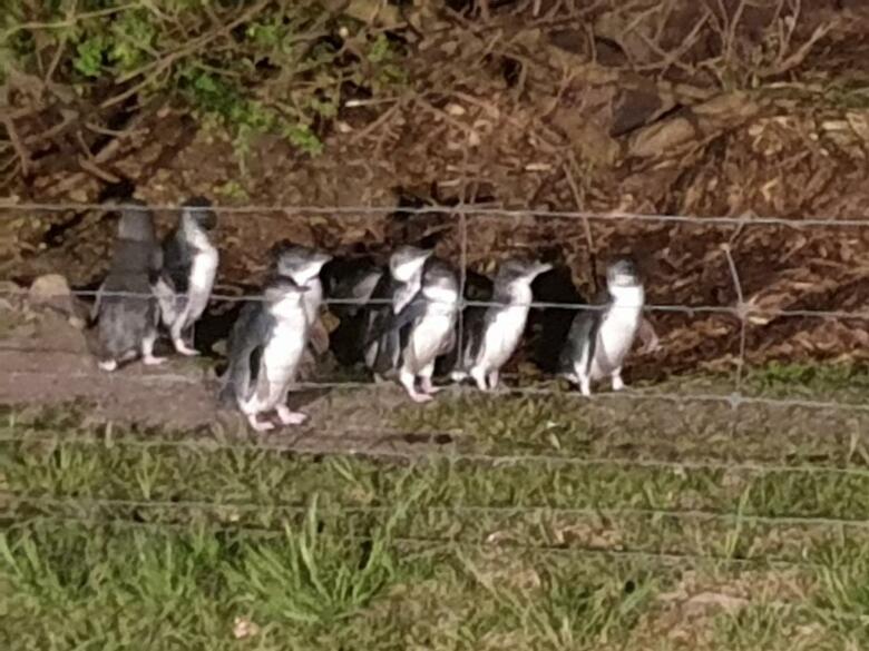 Hotel Diamond Island Resort