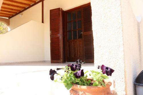 Five Fingers Holiday Bungalows