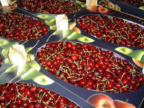 B&B Cherryfarm