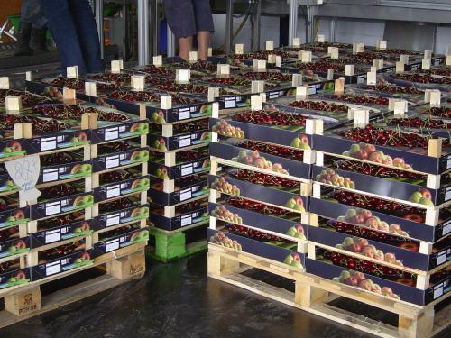 B&B Cherryfarm