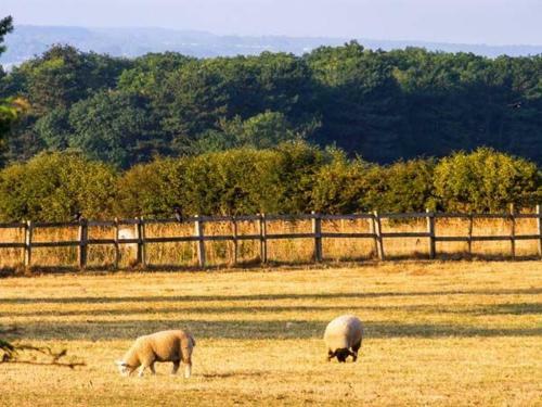 Hartswood Farm