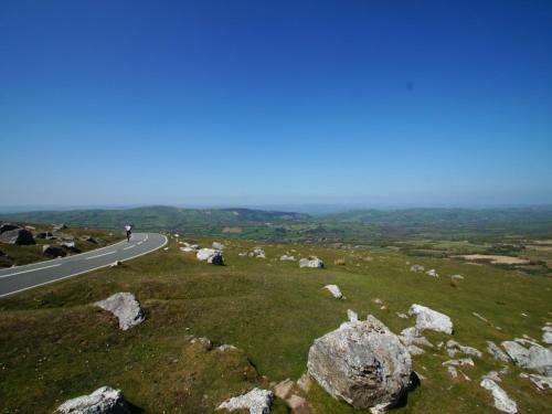 Llwynrhosser
