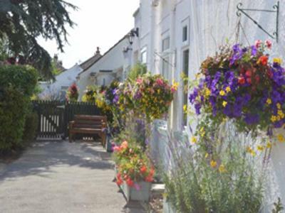 Hostal White Heather Guest House