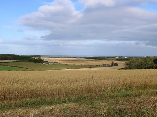 Willowbarn