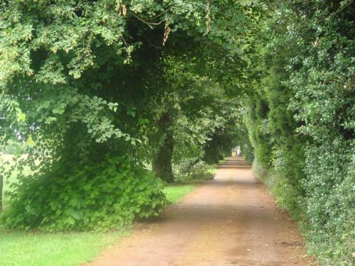 Bed & Breakfast Uplands House, Near Banbury