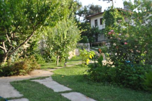 Hotel Kleo Cottages