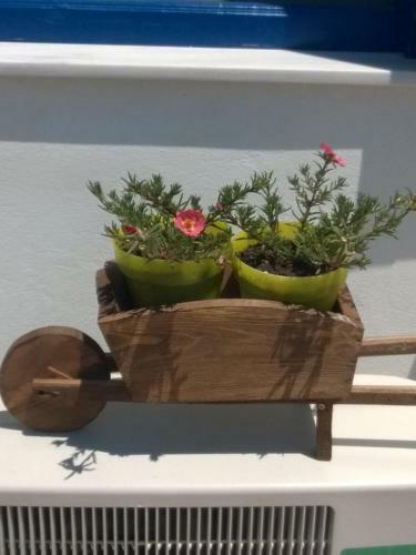Apartamento Stolidi