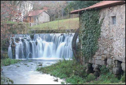 Casa Das Vinhas Cam�lias De Bastoturismo Rural
