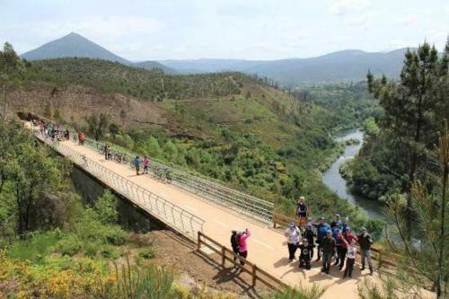 Casa Das Vinhas Cam�lias De Bastoturismo Rural