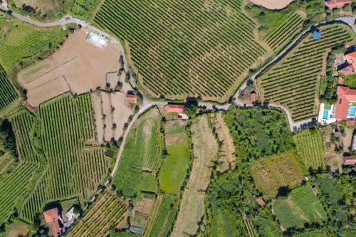 Casa Das Vinhas Cam�lias De Bastoturismo Rural