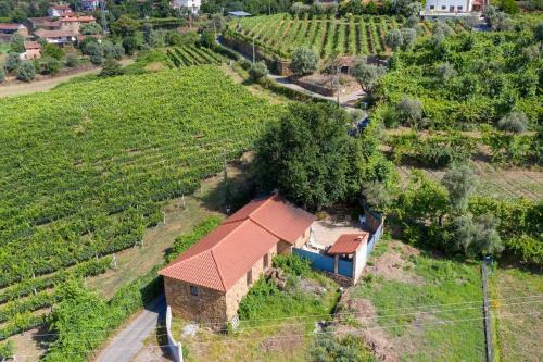 Casa Das Vinhas Cam�lias De Bastoturismo Rural