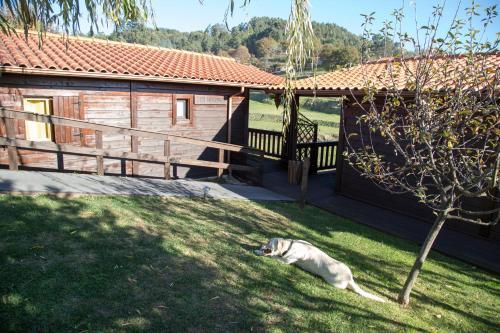 Bed & Breakfast Quinta Da Fontinha
