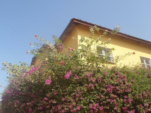 Sanchaba Yellow Apartments