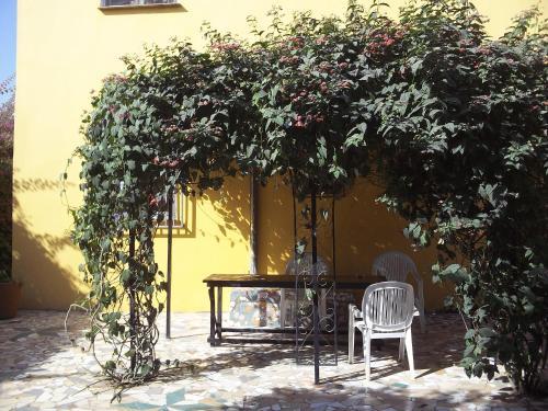 Sanchaba Yellow Apartments