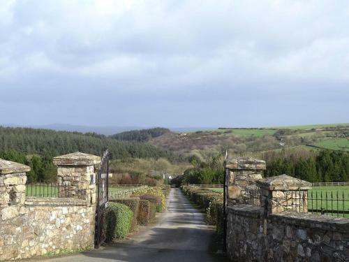 Azalea, St Breock Downs