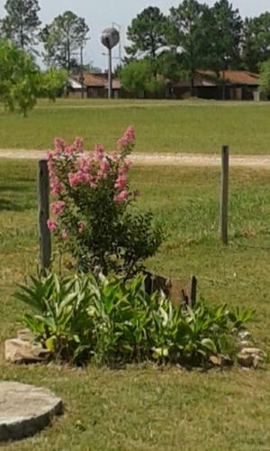 Caba�as En Termas De Guaviy�, Paysand�, Uruguay