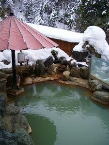 Hotel Ryokan Ontake