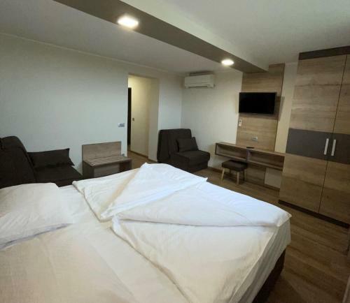 Hotel Ro?kar