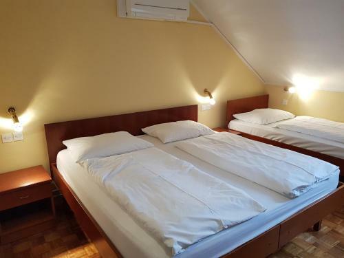 Hotel Ro?kar