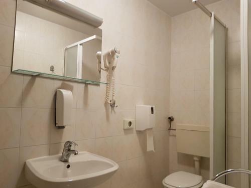 Hotel Ro?kar