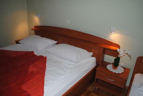 Hotel Ro?kar