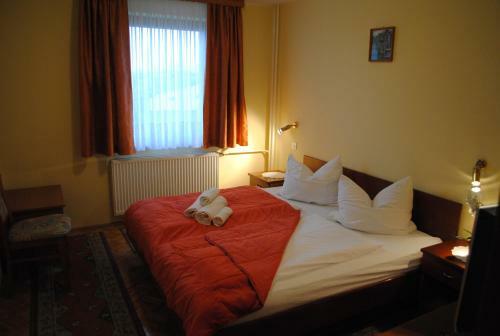 Hotel Ro?kar