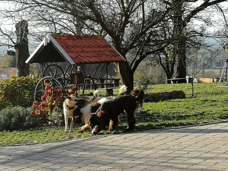 Panorama B&B