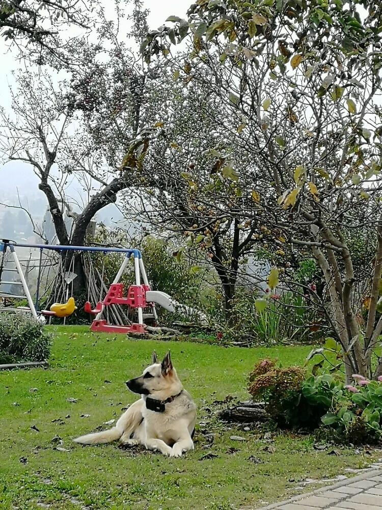 Panorama B&B