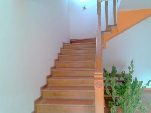Hostal Pensiunea Hera