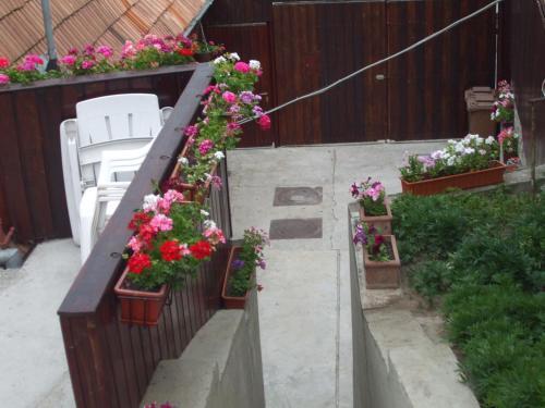Hostal Pension Sighisoara