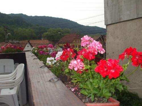 Hostal Pension Sighisoara