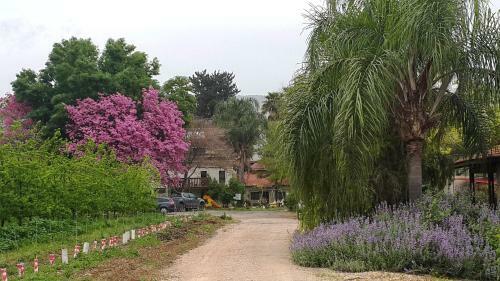 Agroturismo Nuriel Fruit & Guest House