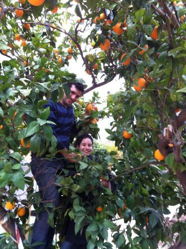 Agroturismo Nuriel Fruit & Guest House