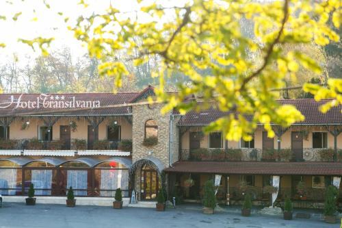 Hotel Transilvania