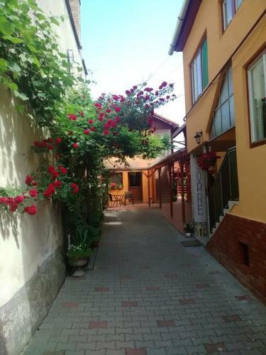 Hostal Casa Soare