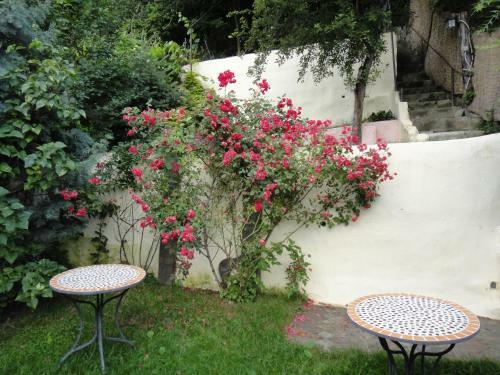 Apartamento Dominic Boutique
