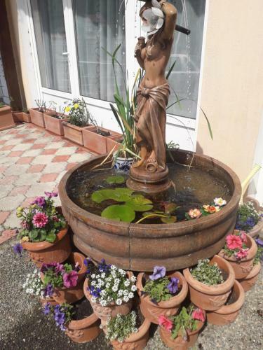 Hostal Pensiunea Baron