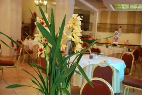 Pella Hotel