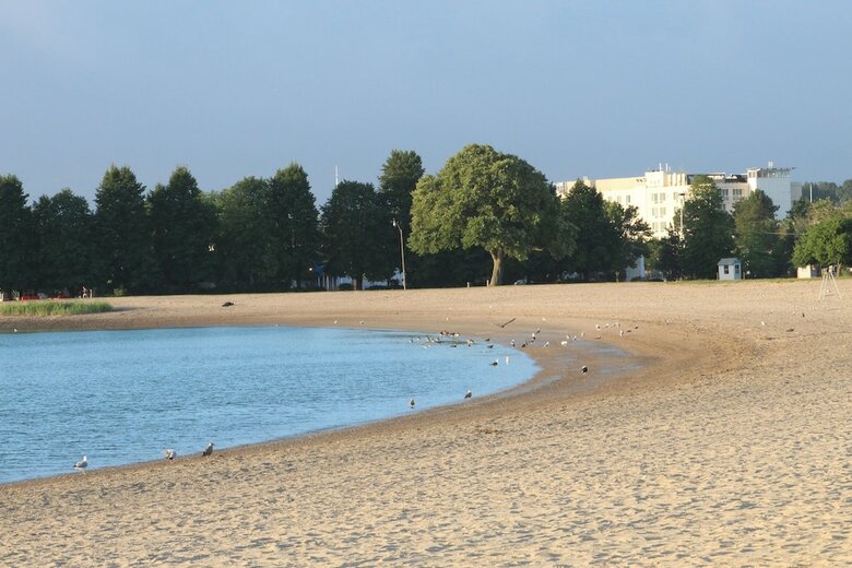 Hotel Doubletree Club Bayside
