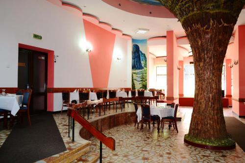 Hotel Bradul