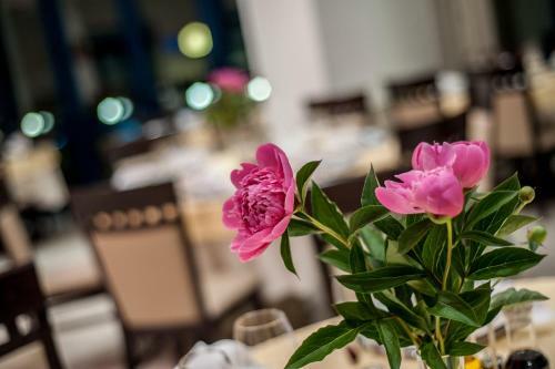 Hotel Mon Jardin