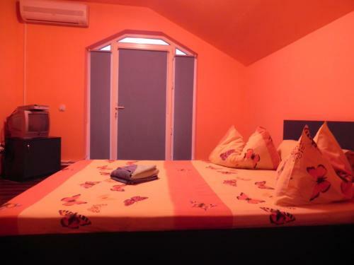 Bed & Breakfast Pension Puiu