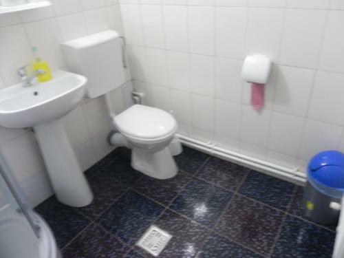 Bed & Breakfast Pension Puiu