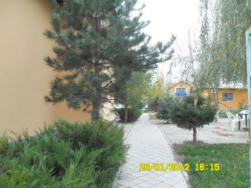 Bed & Breakfast Pension Puiu